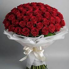 Букет 101 Красная роза Блэк Мэджик #REPLACE_PRED# Магнитогорске
