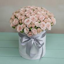 Цветочная композиция из Розы в шляпной коробке #REPLACE_PRED# Магнитогорске