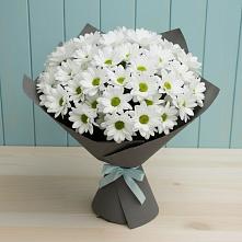 Букет цветов из:  Хризантемы #REPLACE_PRED# Магнитогорске