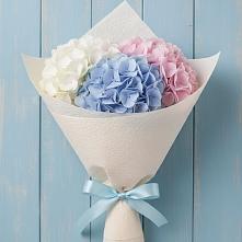 Букет цветов из:  Гортензия в Магнитогорске
