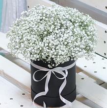 Цветочная композиция из Гипсофила в шляпной коробке #REPLACE_PRED# Магнитогорске