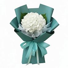 Букет цветов из:  Гортензия #REPLACE_PRED# Магнитогорске